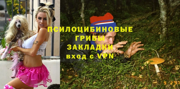 гашик Бородино