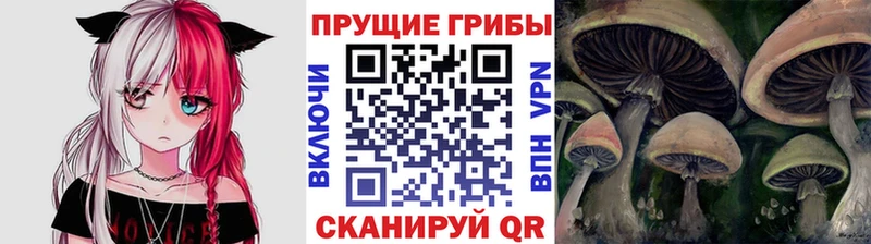 блэк спрут как войти  мориарти клад  Галлюциногенные грибы Magic Shrooms  Добрянка 